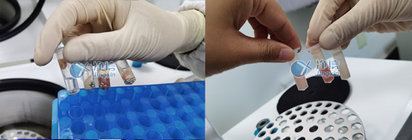 1658220548190485.jpg 95.jpg